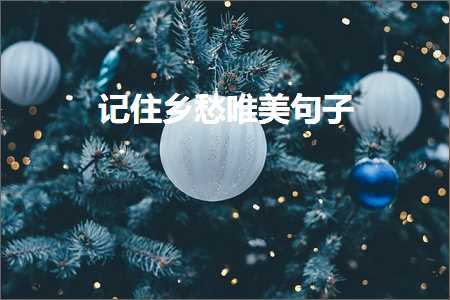 乐观向上幽默的句子简短唯美（文案446条）